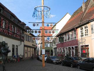 Wohlfühl-Hotel Neu Heidelberg fotoÄŸrafÄ±