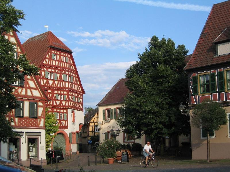 Wohlfühl-Hotel Neu Heidelberg - Genel