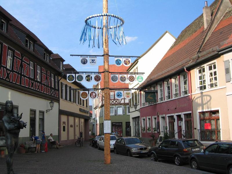 Wohlfühl-Hotel Neu Heidelberg - Genel
