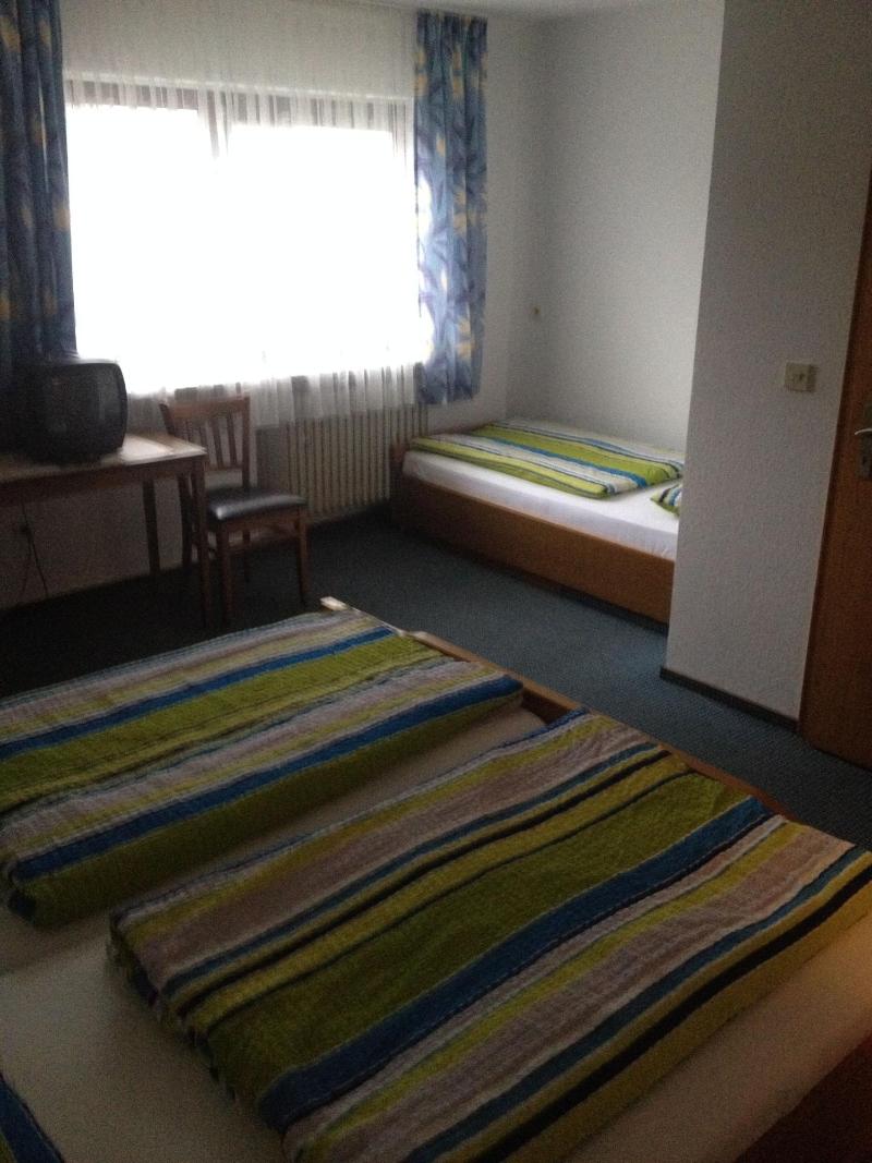 Hotel Elsenztal Mv Gmbh - Oda