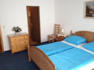 Hotel Elsenztal Mv Gmbh fotoÄŸrafÄ±