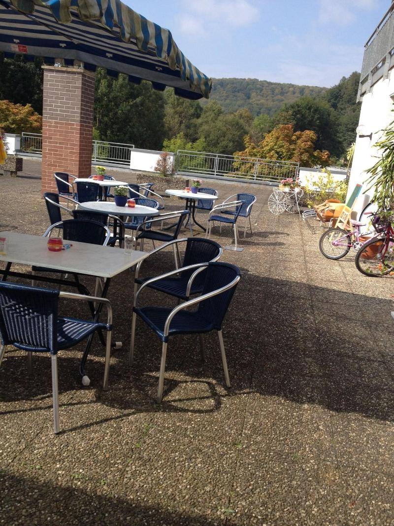 Hotel Elsenztal Mv Gmbh - Teras