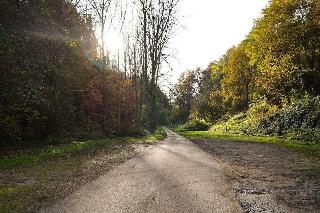 Waldhotel Albachmuehle fotoÄŸrafÄ±