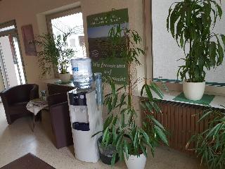 Hotel Grüner Baum fotoÄŸrafÄ±