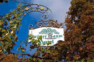Hotel Grüner Baum fotoÄŸrafÄ±