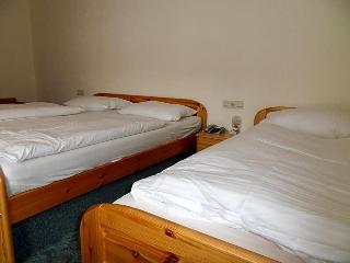 Hotel Grüner Baum fotoÄŸrafÄ±