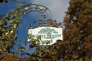 Hotel Grüner Baum fotoÄŸrafÄ±