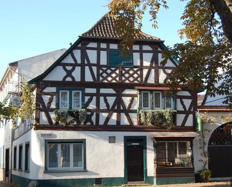 Hotel Grüner Baum - Genel