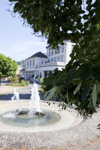 Hotel Zwei Mohren fotoÄŸrafÄ±