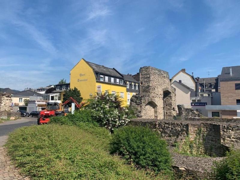 Hotel Sonnenhof Garni - Genel