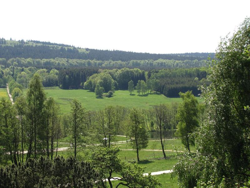 Hotel Steuer - Genel