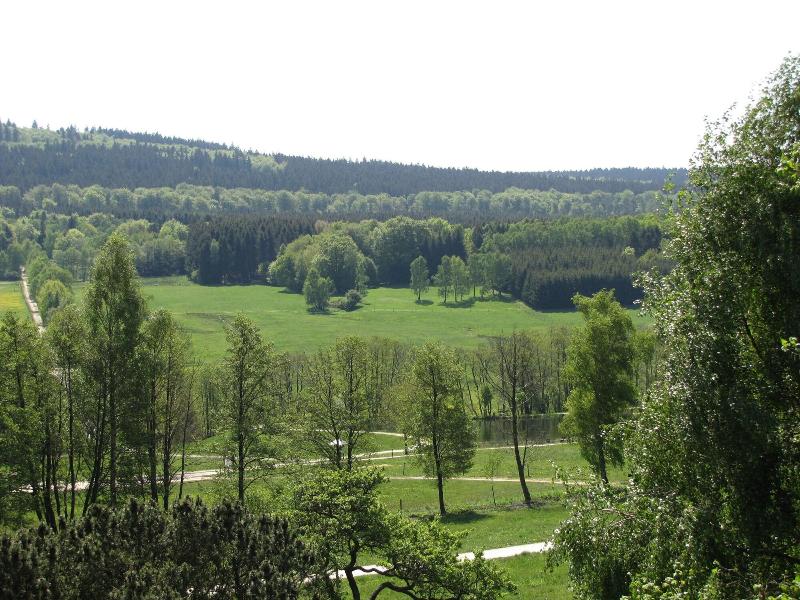 Hotel Steuer - Genel