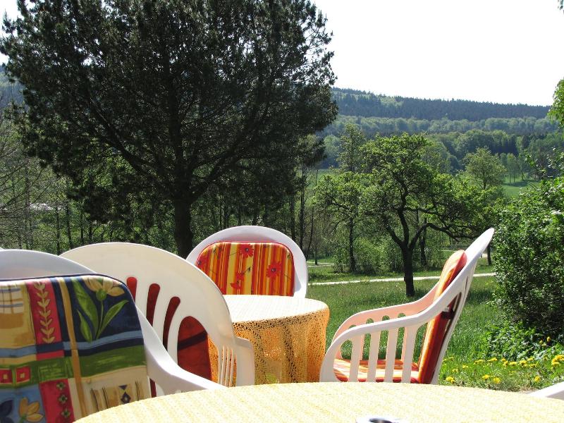 Hotel Steuer - Genel
