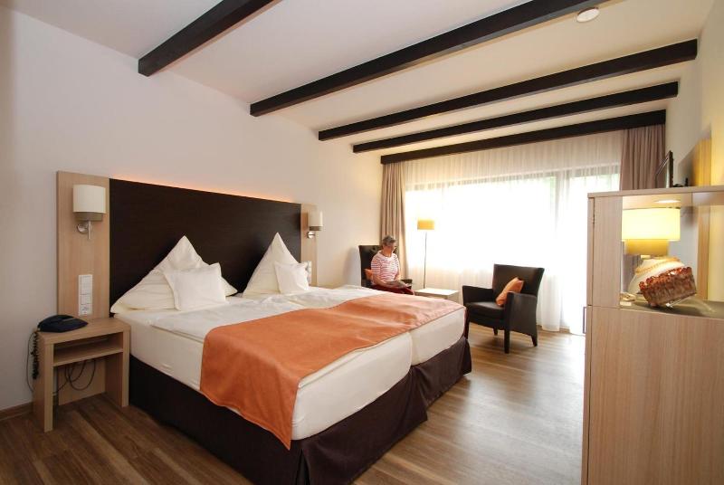 Hotel Steuer - Oda