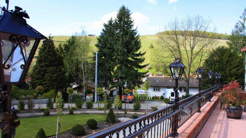 Hotel Rebstock - Genel