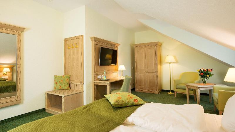 Hotel Rebstock - Oda