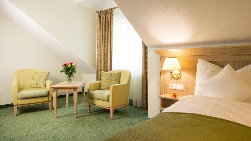 Hotel Rebstock - Oda