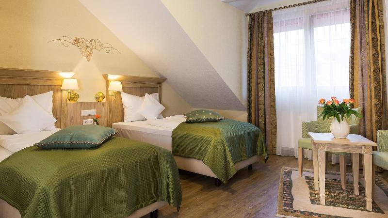 Hotel Rebstock - Oda