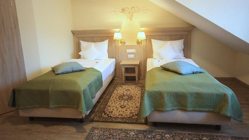 Hotel Rebstock - Oda