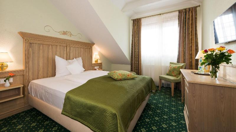Hotel Rebstock - Oda