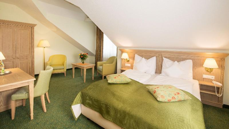 Hotel Rebstock - Oda
