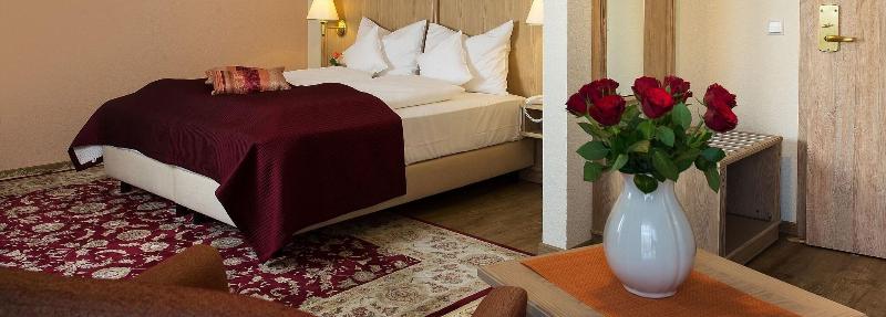 Hotel Rebstock - Oda