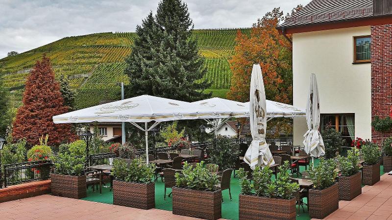 Hotel Rebstock - Teras