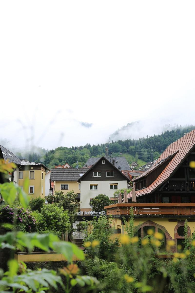 Das Waldhaus - Genel
