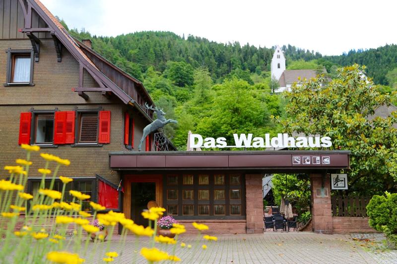 Das Waldhaus - Genel