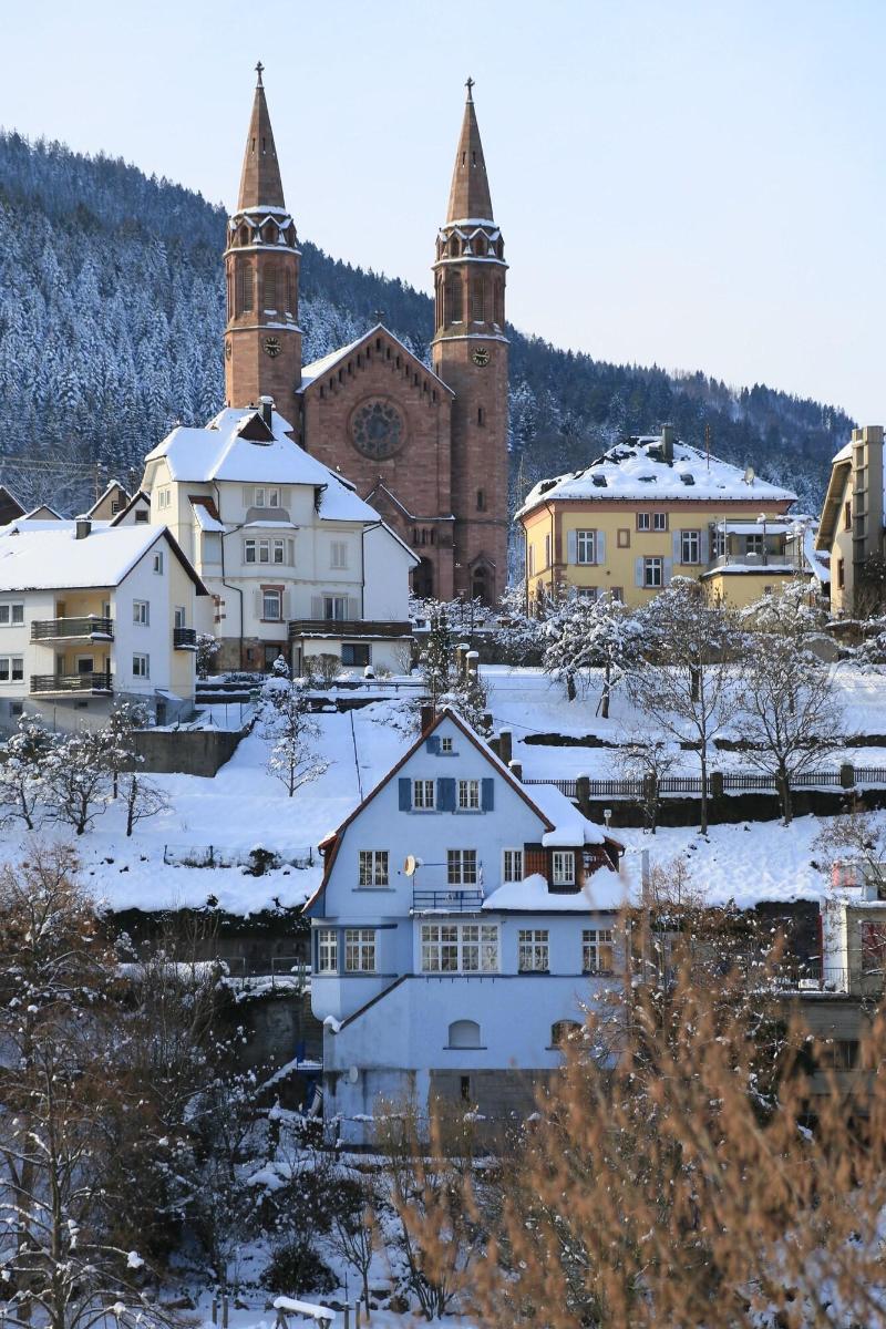 Das Waldhaus - Genel