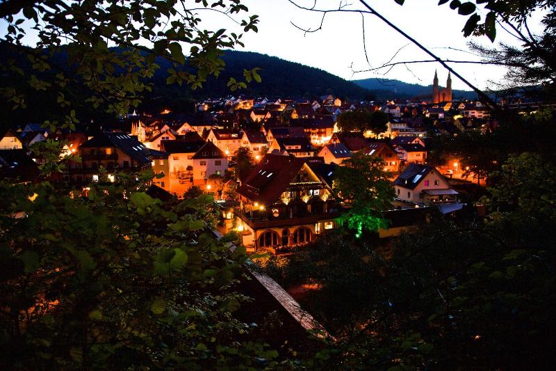 Das Waldhaus - Genel
