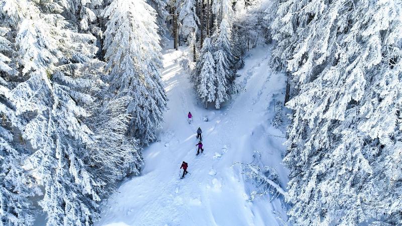 NATURE TITISEE - Easy. Life. Hotel. - Aktivite