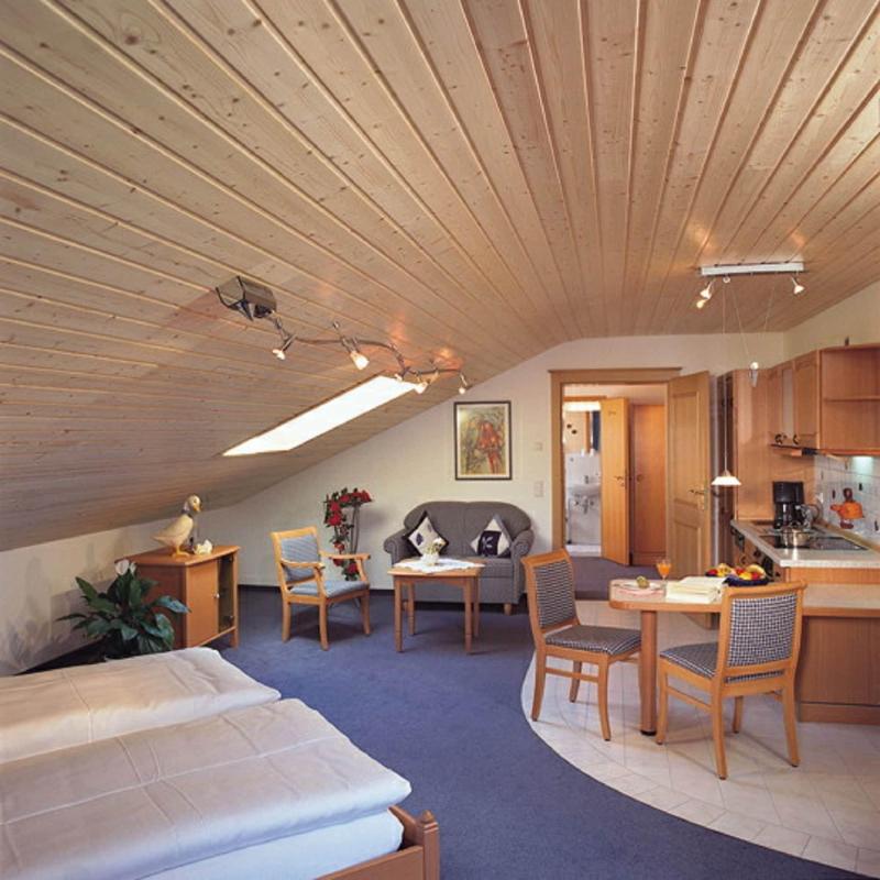 Hotel Am Wiesenhang  - Garni - Oda