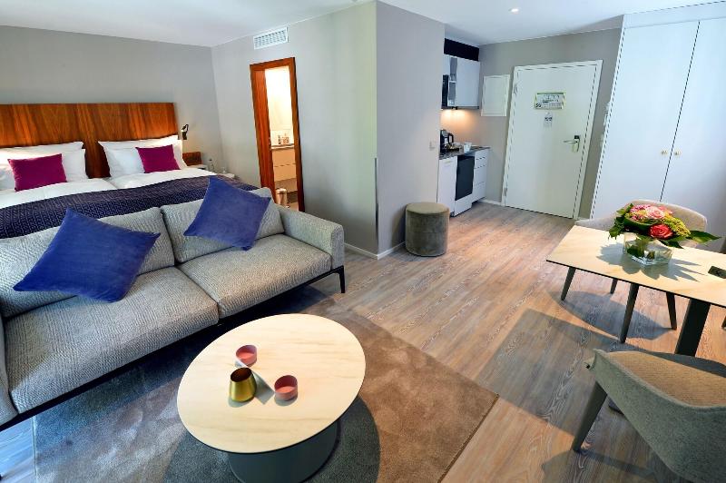 Apartments & Hotel Maximilian Munich - Oda