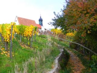 Hotel Am Torturm fotoÄŸrafÄ±
