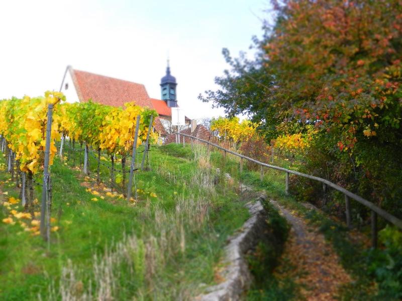 Hotel Am Torturm - Aktivite