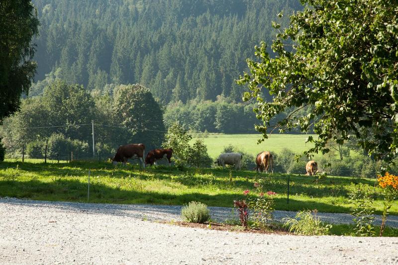 Landhotel Bayerwald - Genel