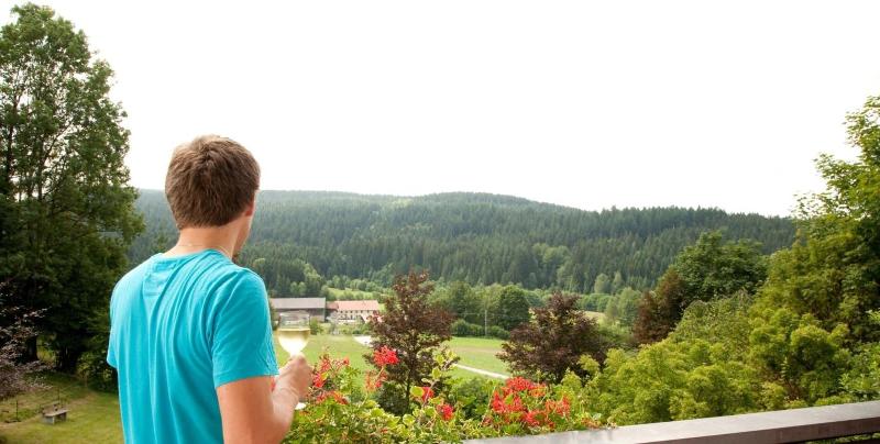 Landhotel Bayerwald - Oda