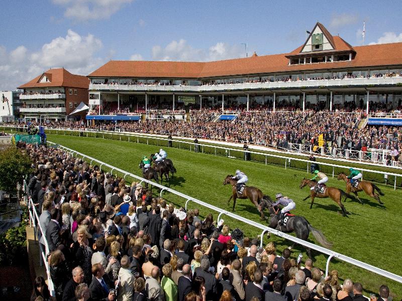 Holiday Inn Express Chester - Racecourse - Aktivite
