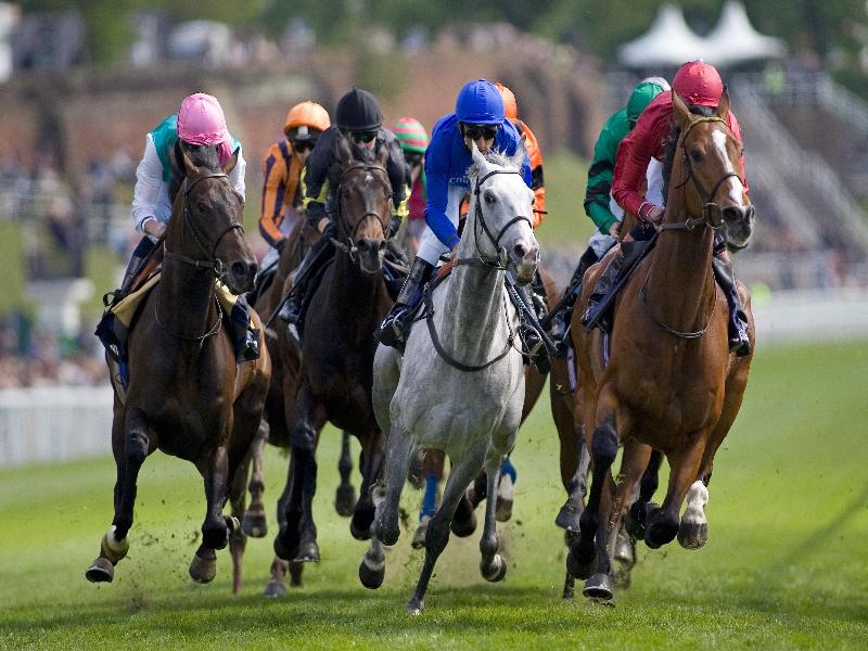 Holiday Inn Express Chester - Racecourse - Aktivite