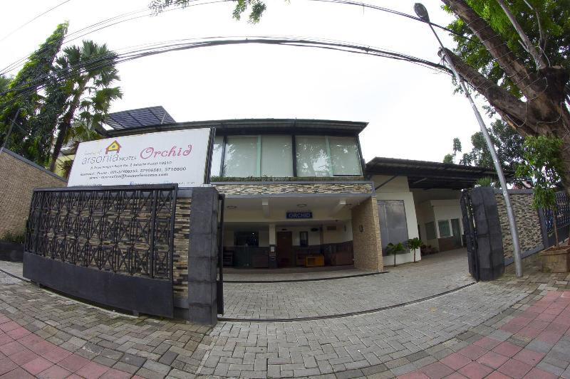 House Of Arsonia Orchid - Genel