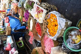 Kano Sari fotoÄŸrafÄ±