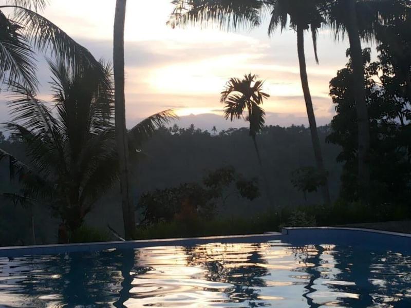 Ijen Cliff Resorts - Aktivite