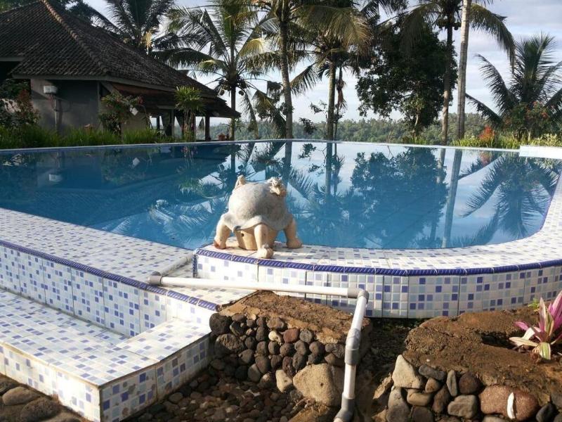 Ijen Cliff Resorts - Aktivite