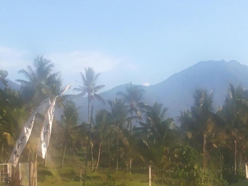 Ijen Cliff Resorts - Genel
