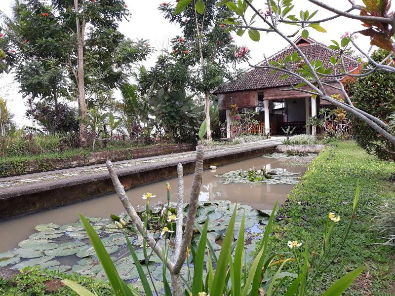 Ijen Cliff Resorts - Genel