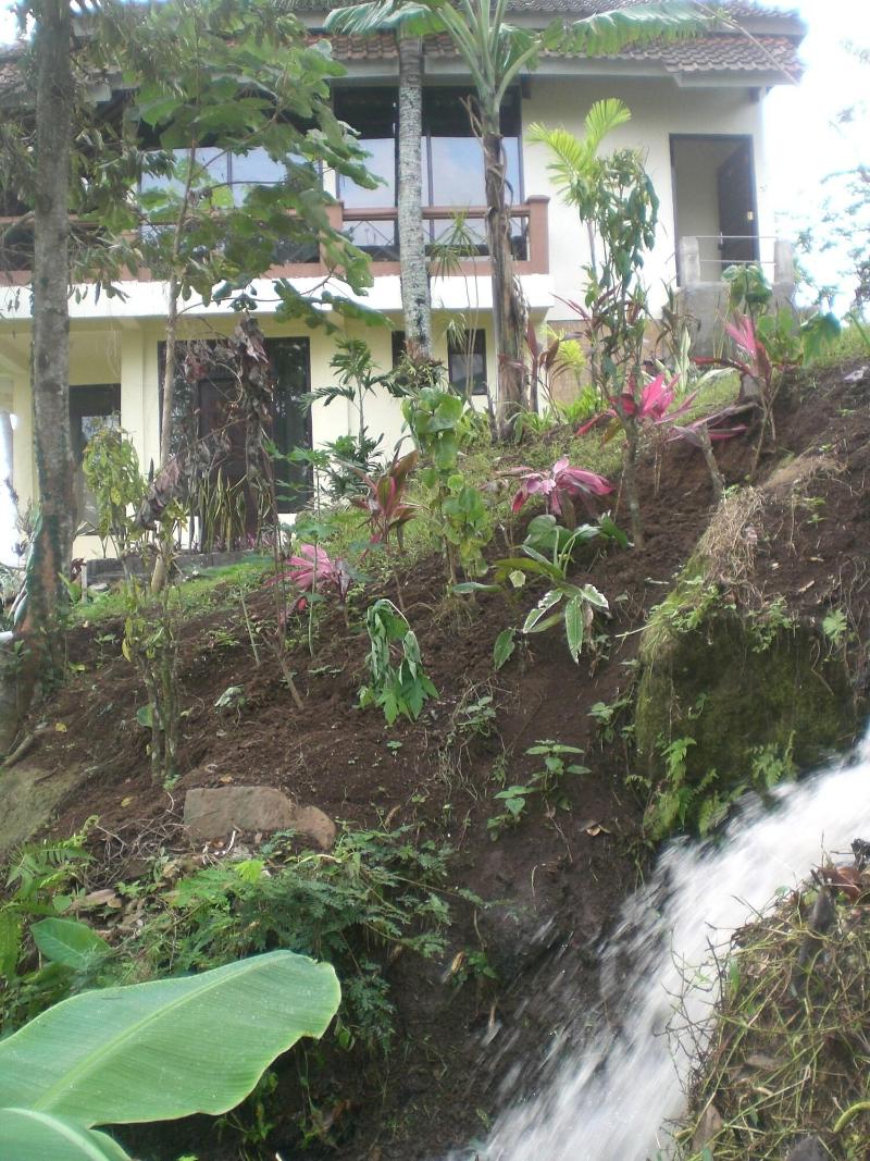 Ijen Cliff Resorts - Genel