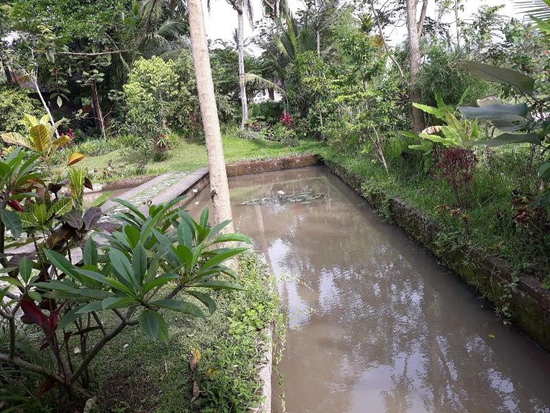 Ijen Cliff Resorts - Genel