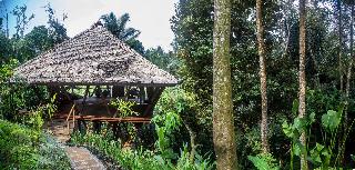 Alassari Plantation fotoÄŸrafÄ±