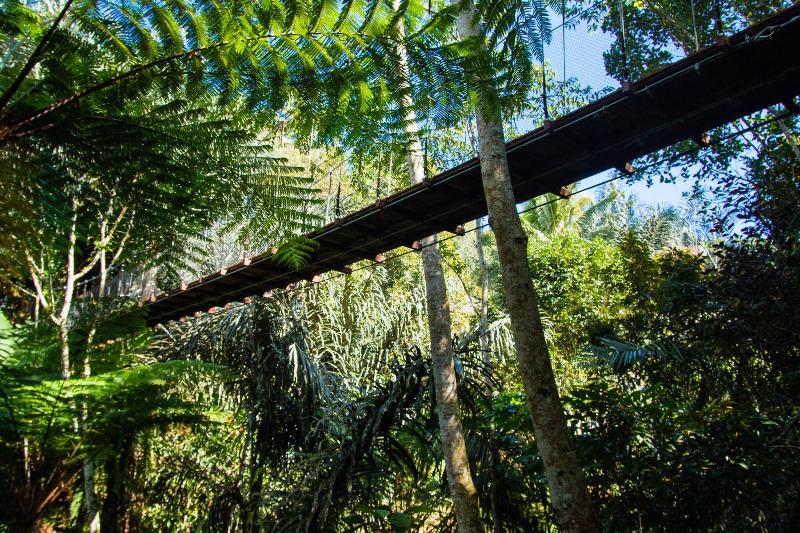 Alassari Plantation - Genel